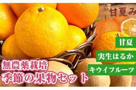無農薬栽培 季節の果物セット [No.203]