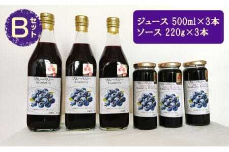 (Bセット)ブルーベリージュース・ソースセット[池田ブルーベリー園 生産農家が心を込めた「本物」] [No.061]