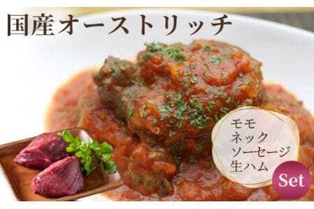 ネック500gとモモ肉200g&ソーセージ・生ハムセット[国産オーストリッチ] [No.049]
