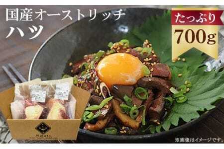 国産オーストリッチハツ700g [No.067]