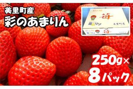 美里町産いちご8P【彩のあまりん】（250g以上×8パック）  [No.218]