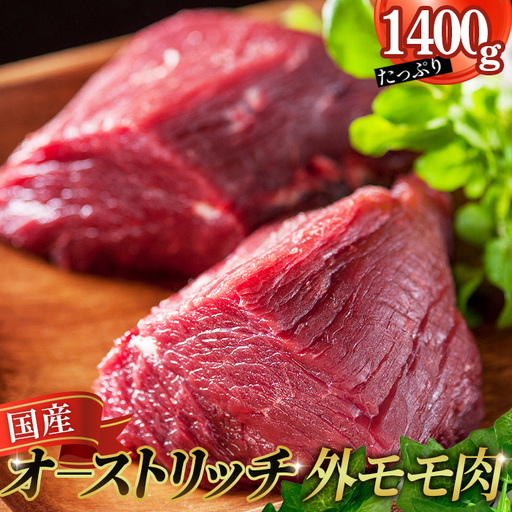 国産オーストリッチ外モモ肉1.4kg ／ オーストリッチ肉 ダチョウ肉 赤身肉 ドラム肉 外腿肉 低脂肪 高タンパク 高栄養価 ヘルシー 臭みなし 柔らか 食べやすい タタキ しゃぶしゃぶ レアステーキ 埼玉県 特産 [No.235]