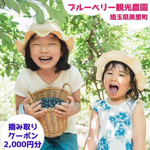 ブルーベリー摘み取りクーポン(2000円相当分) / ブルーベリー 摘み取り 体験 農園 収穫体験 夏 レジャー 家族 おでかけ デート 自然体験 食育 フルーツ狩り 完熟 フレッシュ 甘い 旬 週末 アウトドア 旅行プラン 美里町 埼玉県 [No.241]