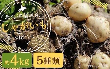 北海道 蘭越産 じゃがいも 食べ比べ 5種類セット 合計約4kg (各800g)[2024年11月下旬〜2025年4月上旬発送予定]