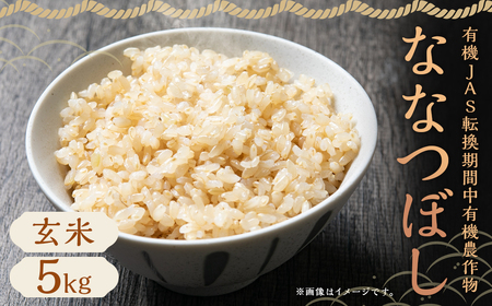 [令和6年産]有機JAS転換期間中有機農作物 らんこし産 玄米 ななつぼし 5kg(中村農場)お米 米