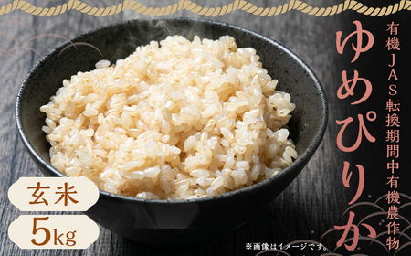 [令和6年産]有機JAS転換期間中有機農産物 らんこし産 玄米 ゆめぴりか 5kg(中村農場)お米 米