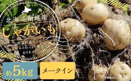 北海道 蘭越産 じゃがいも (メークイン) 約5kg[2025年4月上旬まで発送予定]野菜 5kg メークイン ポテト 常温 北海道産 蘭越町