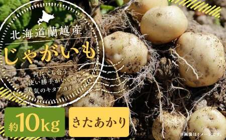 北海道 蘭越産 じゃがいも(きたあかり) 約10kg[2025年11月下旬〜2026年4月上旬発送予定]