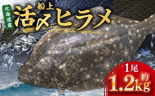 北海道産 船上活〆ヒラメ 約1.2kg [2026年5月上旬〜12月上旬まで発送予定] ヒラメ 刺身 熟成 活〆 昆布締め カルパッチョ 冷凍 春 魚 魚類 魚介 魚介類 食材 国産 刺し身