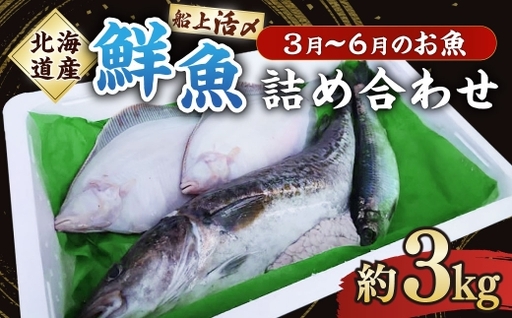 北海道産 船上活〆鮮魚詰め合わせ 約3kg [2026年6月上旬まで発送予定] 鮮魚 活〆 血抜き セット 旬 出汁 3キロ 魚 魚類 魚介 魚介類 食材 国産 鮮魚セット 詰め合わせ