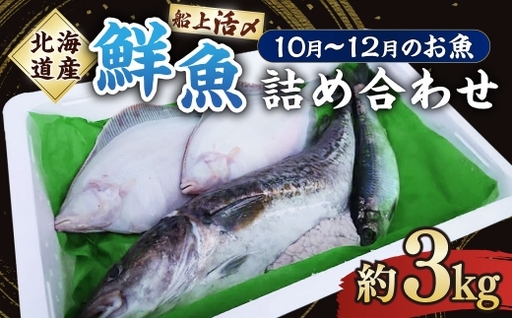 北海道産 船上活〆鮮魚詰め合わせ約3kg [2026年10月上旬〜12月上旬まで発送予定] 鮮魚 活〆 血抜き セット 旬 出汁 3キロ 魚 魚類 魚介 魚介類 食材 国産 鮮魚セット 詰め合わせ