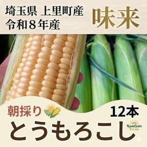 2026年先行予約　とうもろこし　味来　2Lサイズ×12本　計5kg(梱包込み)【配送不可地域：離島】【1564847】