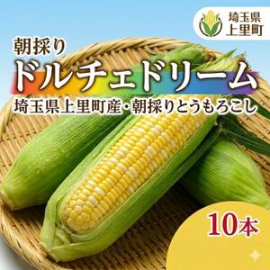 【先行受付2026年夏発送】上里町産とうもろこし　ドルチェドリーム2L×10本　計5kg(梱包込み)【配送不可地域：離島】【1564849】