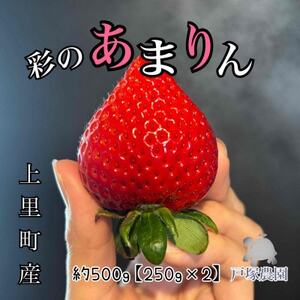 ��ʌ�����i�킠�܂�� ��500g�y�z���s�n��F�����z�y1687064�z