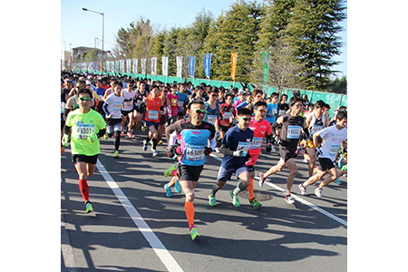 杉戸町新春マラソン大会 出走権利 (一般男女3km)[クレジットカード決済限定]|体験 チャレンジ ラン ファンラン ショート マラソン [0351]