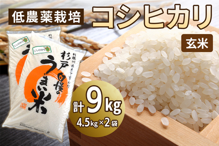 新米 低農薬栽培のコシヒカリ[玄米]9kg (4.5kg×2袋)|おいしい お米 コメ こめ ご飯 ごはん 白米 玄米 お取り寄せ 直送 贈り物 贈答品 ふるさと納税 埼玉 杉戸 [0539]