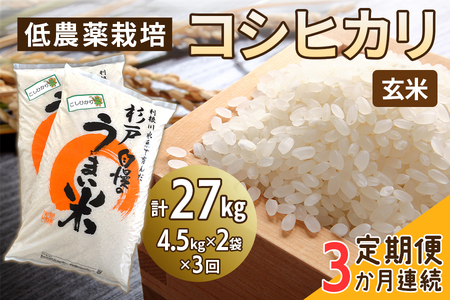 新米 [定期便/3ヶ月] 低農薬栽培のコシヒカリ[玄米]計27kg (4.5kg×2袋×3ヶ月連続)|おいしい お米 コメ こめ ご飯 ごはん 白米 玄米 お取り寄せ 直送 贈り物 贈答品 ふるさと納税 埼玉 杉戸 [0542]