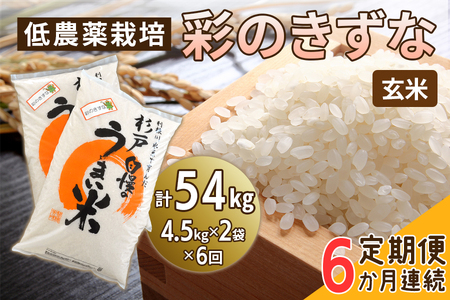 新米 [定期便/6ヶ月] 低農薬栽培の彩のきずな[玄米]計54kg (4.5kg×2袋×6ヶ月連続)|おいしい お米 コメ こめ ご飯 ごはん 白米 玄米 お取り寄せ 直送 贈り物 贈答品 ふるさと納税 埼玉 杉戸 [0554]