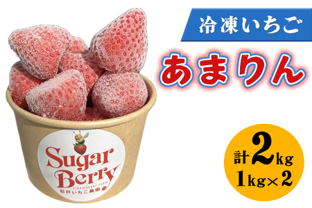 Ⓚs܂t1kg×2b IWi i x  Â  C`S SugarBerry  [0685]