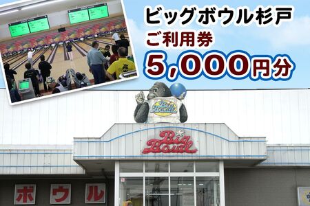 ビッグボウル杉戸 ご利用券 5千円分｜ボーリング アクティブ スポーツ 遊び 東武動物公園駅 杉戸 埼玉 [0696]