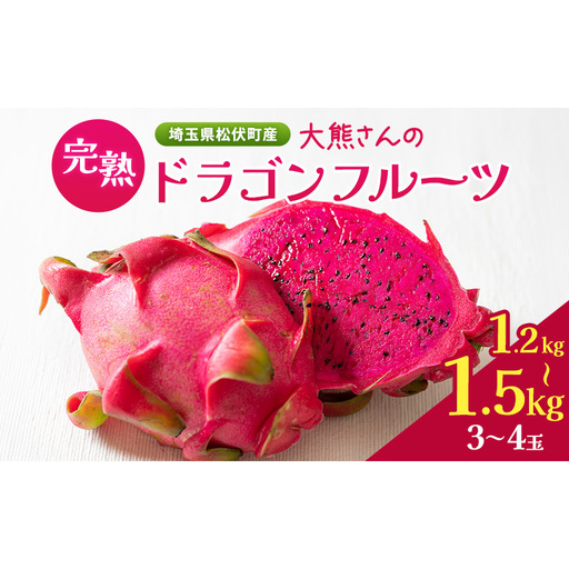 [埼玉県松伏町産] 大熊さんの完熟ドラゴンフルーツ 1.2kg〜1.5kg (3玉〜4玉) 果物 くだもの フルーツ 完熟 ドラゴンフルーツ
