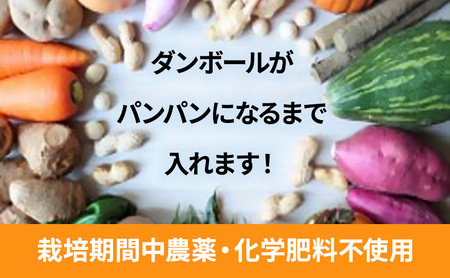 2〜4名様向け/旬の野菜7種セット