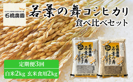 米 若葉の舞 コシヒカリ 白米2kg玄米食用2kg 食べ比べセット 定期便3回 こしひかり お米 白米 玄米 セット 食べ比べ 定期便 精米 千葉 千葉県 低温保存