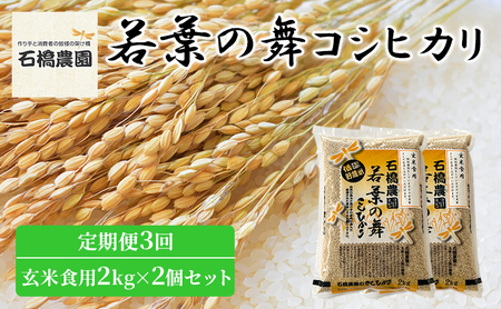 米 若葉の舞 コシヒカリ 玄米食用2kg×2個セット 定期便3回 こしひかり セット 定期便 お米 玄米 千葉 千葉県 低温保存