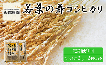 米 若葉の舞 コシヒカリ 玄米食用2Kg×2個セット 定期便9回 こしひかり セット お米 玄米 千葉 千葉県 低温保存