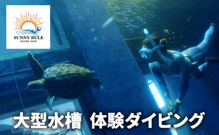 ^ ̌_CrO ̌ `Pbg N[| E~K  ts