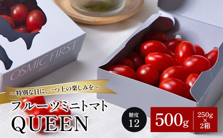 �t���[�c�~�j�g�}�gQUEEN 500g(250g×2��) �g�}�g �~�j�g�}�g ���Y ��� ���x12 �Z�� ��t�s ��t��