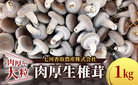  ő1kg ő VC^P i ʔN͔|  嗱  ݉ ̂ ts t