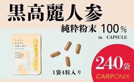 黒高麗人参「CARPONIX」4粒入り×240袋 サプリメント サプリ 黒高麗人参 カプセル ジンセノサイド 千葉市