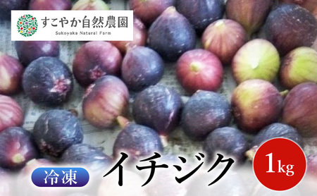 冷凍イチジク 1kg 果物 フルーツ 国産 千葉市