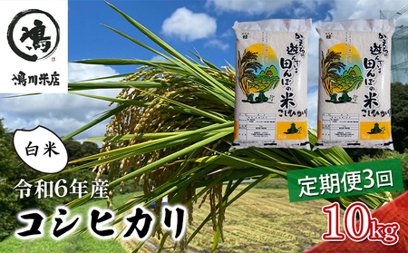 令和6年産 3ヶ月定期便 コシヒカリ 白米 10kg(5kg×2)[定期便 お米 白米 粘り甘み]