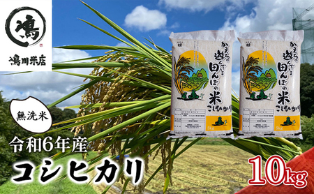 コシヒカリ 乾式無洗米 10kg（5kg×2）令和6年産