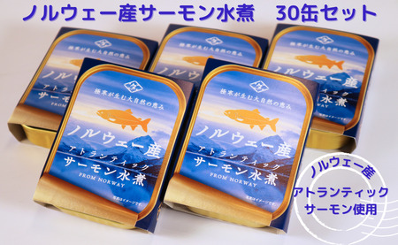 アトランティックサーモン 水煮 缶詰 30缶 90g×30 長期保存 防災 備蓄 常温 保存食 キャンプ アウトドア BBQ 千葉県 銚子市 田原缶詰