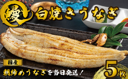 焼きたて 白焼うなぎ 5枚 冷蔵 加工品 惣菜 セット お取り寄せ 真空パック 白焼 千葉県 銚子市 石毛川魚店