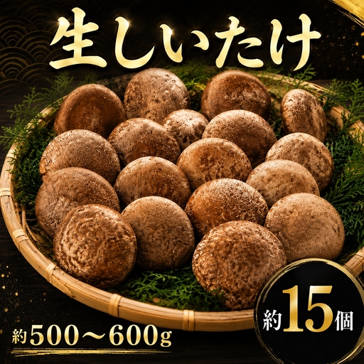 生椎茸 約 500g 〜 600g 約 15個 椎茸