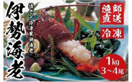 [先行予約]2025年8月以降発送 活き〆冷凍銚子黒潮海老(伊勢海老) 1kg(3〜4尾) 銚子産 伊勢海老 伊勢海老 伊勢海老 伊勢海老 伊勢海老 千葉県 銚子市 健丸