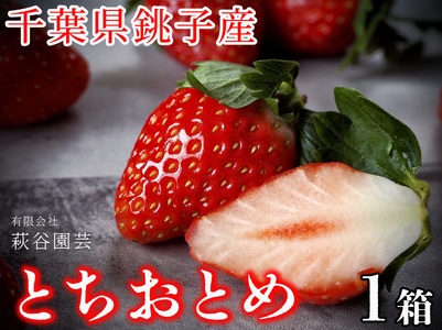 先行予約 いちご とちおとめ(400g) 萩谷園芸 銚子産 とちおとめ 苺 いちご イチゴ ビタミンC 葉酸 食物繊維 デザート ミルフィーユ フルーツ ヨーグルト スムージー 千葉県 銚子市 苺 イチゴ 真空パック 冷凍 ジャム スムージー 萩谷園芸 銚子産 真空パック 冷凍 フルーツ カット ジャム 千葉県 銚子市