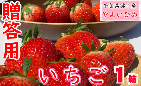 先行予約 いちご やよいひめ 1箱(約400g) 林いちご園 銚子産 苺 イチゴ ビタミンC 葉酸 食物繊維 デザート ミルフィーユ フルーツ ヨーグルト スムージー 朝摘み 朝採れ 新鮮 千葉県 銚子市 とちおとめ 真空パック 冷凍 冷凍フルーツ カット ジャム イチゴ 4kg (1kg × 4 ) 萩谷園芸 フルｰツ ジャム ジュース ジュｰス