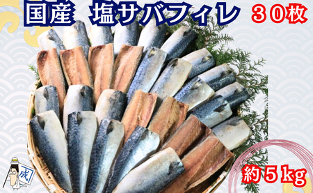 国産 塩サバ フィレ 30枚 約5kg 国産鯖 塩鯖 塩鯖 塩鯖 塩鯖 塩鯖 塩鯖 塩鯖