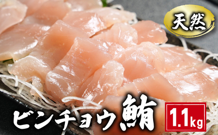 ビンチョウまぐろ 切身 約1.1kg 鮪鮪鮪鮪マグロマグロマグロマグロ