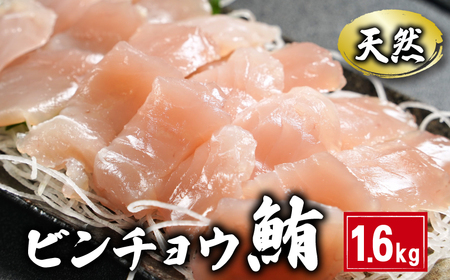 ビンチョウまぐろ 切身 約1.6kg 鮪鮪鮪鮪マグロマグロマグロマグロ