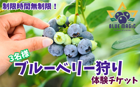 u[x[ `Pbg 3l t qs ӂ邳Ɣ[ u[x[ t[c t[c ʕ ʕ `Pbg u[x[ u[x[E 6 7 8 AGRIMOVADO AO