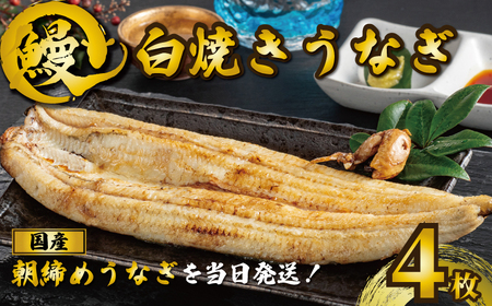国産うなぎ 白焼き 4枚 約120g×4  鰻 鰻 鰻 鰻 鰻 石毛川魚店