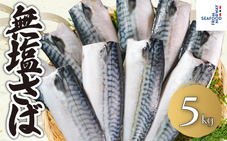 無塩さば 約5kg さば