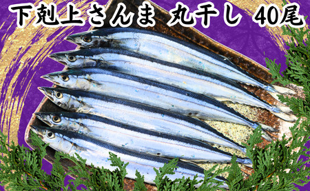 さんま 丸干 40尾 下剋上さんま 冷凍 サンマ 秋刀魚 正規品 無添加 大容量 国産 丸干し 旬 季節の味覚 銚子 海の幸 海鮮 干物 新鮮 贈り物 グルメ おかず おつまみ ビール 日本酒 お取り寄せ 千葉県 銚子市 ヤマニンベン サンマ