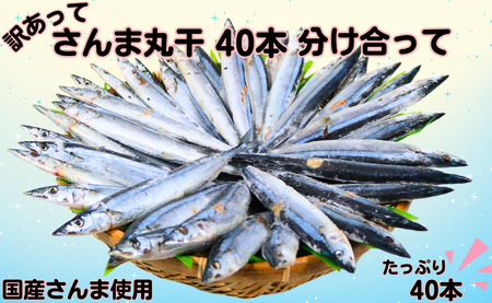 訳あって さんま丸干 40本 分け合って 訳あり さんま 丸干し 40尾 冷凍 サンマ 秋刀魚 無添加 国産 国産さんま 国内加工 銚子 海の幸 海鮮 干物 新鮮 贈り物 お取り寄せ グルメ おつまみ 千葉県 銚子市 ヤマニンベン サンマ